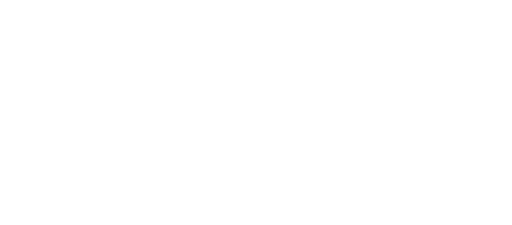shopfy-partner-sahu